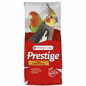 classic big parakeets, 20 kg