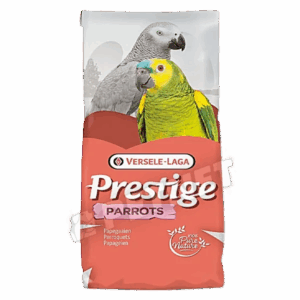 parrots breeding 20 kg