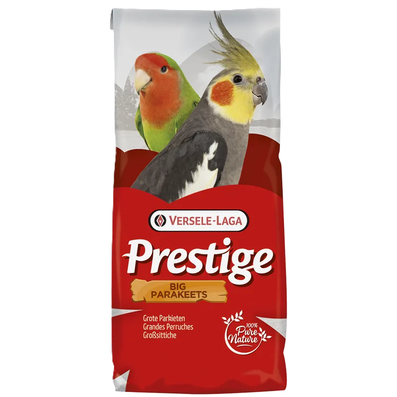 Big Parakeets 20kg