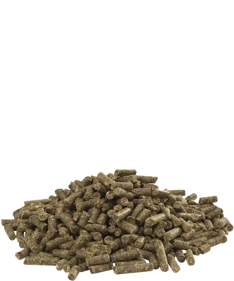Country's Best Cuni-Fit pure 20 kg - Image 2
