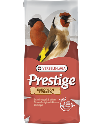 European Finches 20 kg